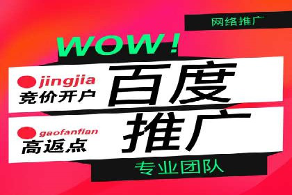 探索专业SEM托管的未来趋势与成功案例